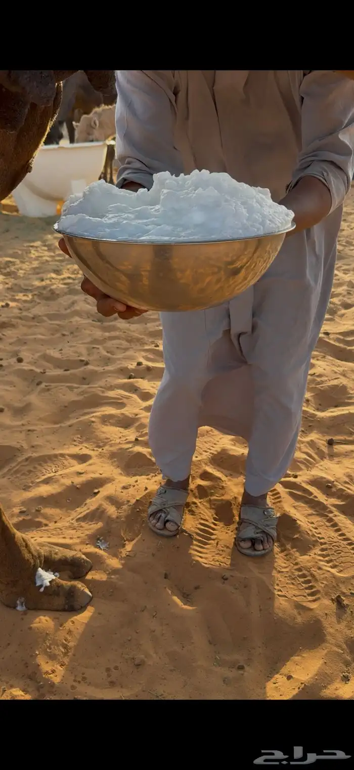 خلفه هديه مسوح 2