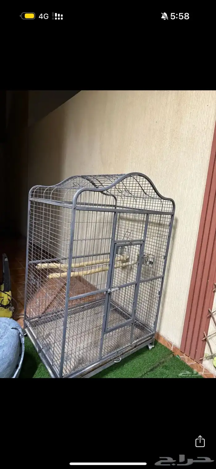 قفص ببغاوات 4