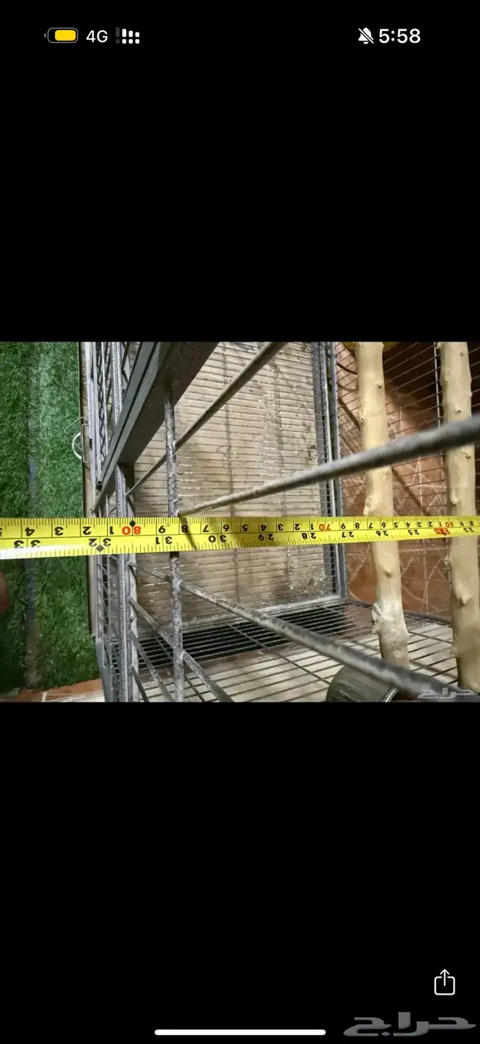 قفص ببغاوات 3