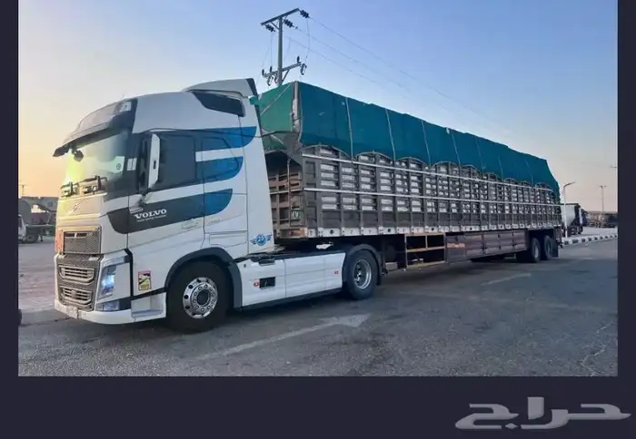 تريله جوانب وسطحه تريله ونقل اي حموله ملهم سواق يمني 0