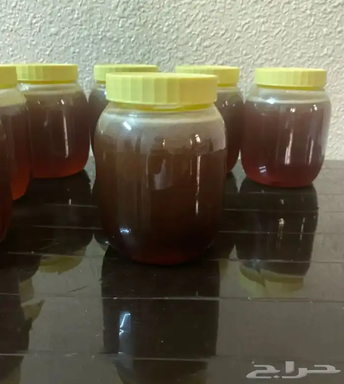 عسل سدر طبيعي 100 1