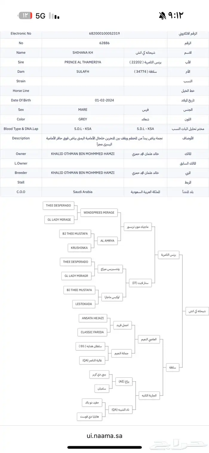 مهره عربيه اصيله ( واهو ) 3