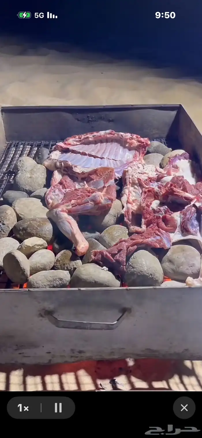 حجر المضبي للشوي 2