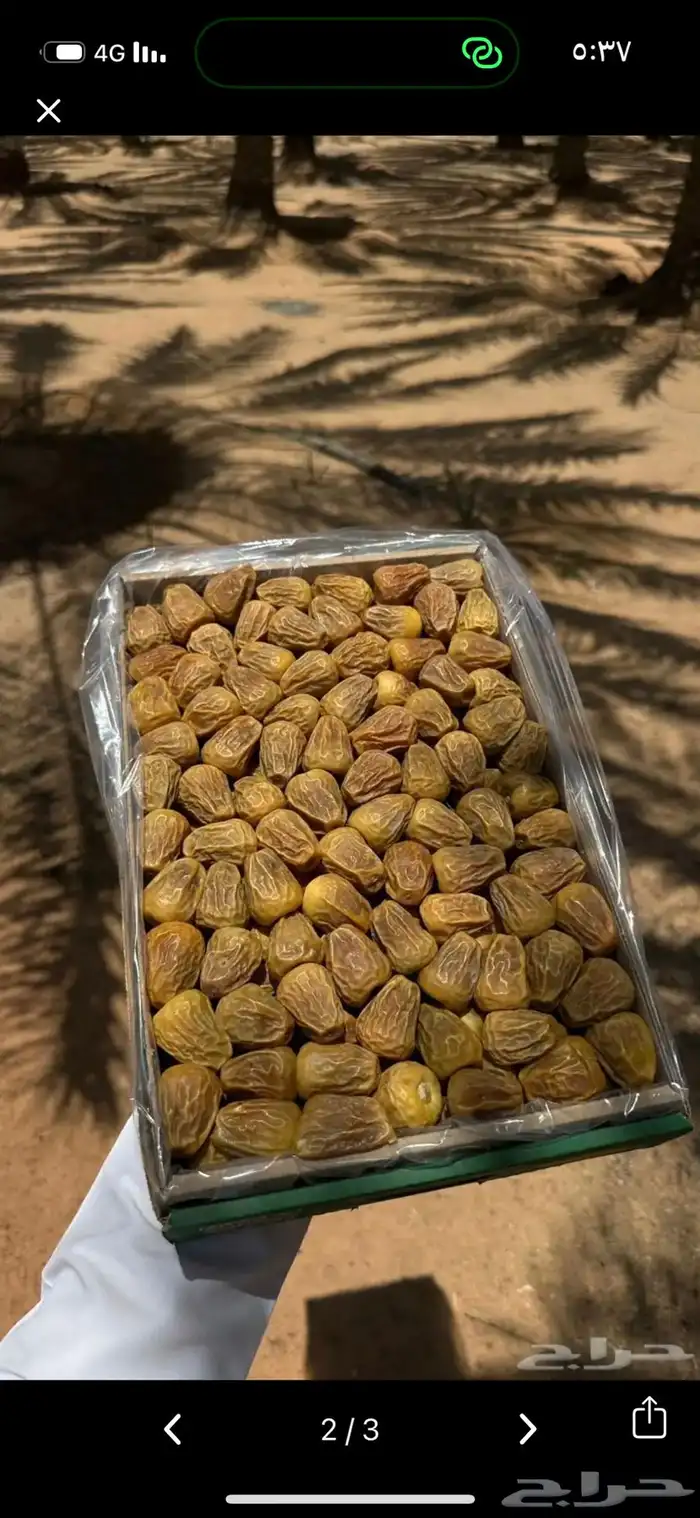 تمر سكري مفتل 1