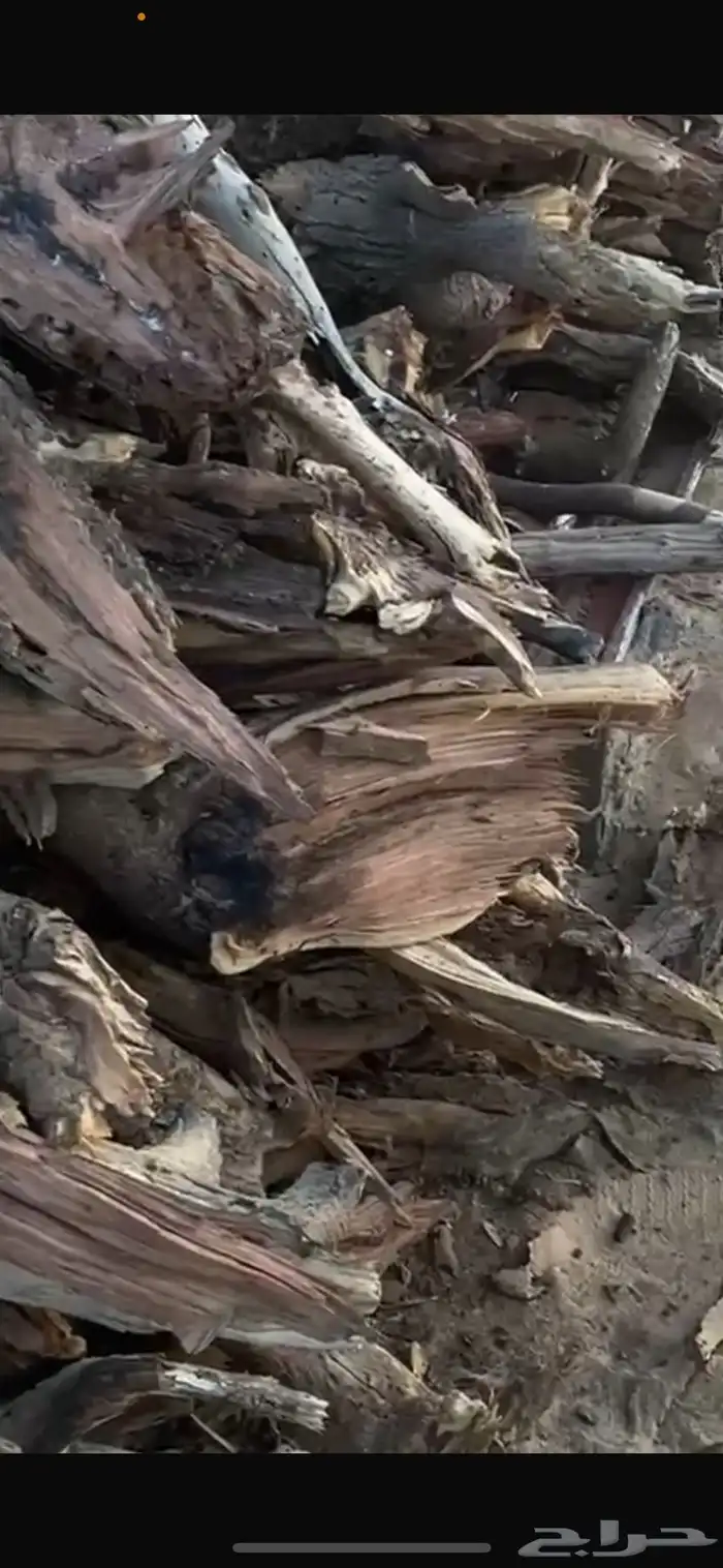 حطيب مستورد 0