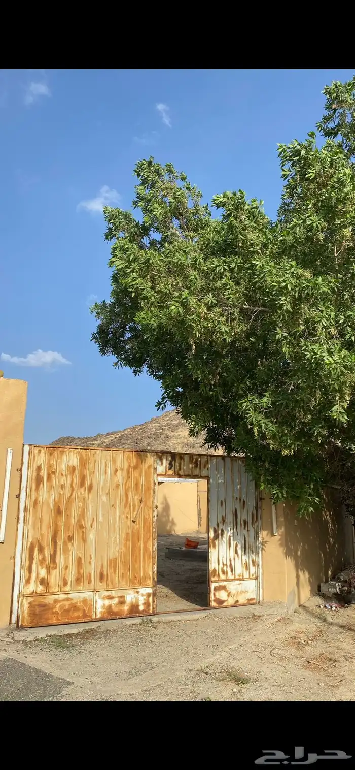 استراحه للايجار مقابل مدرسة دلة 6