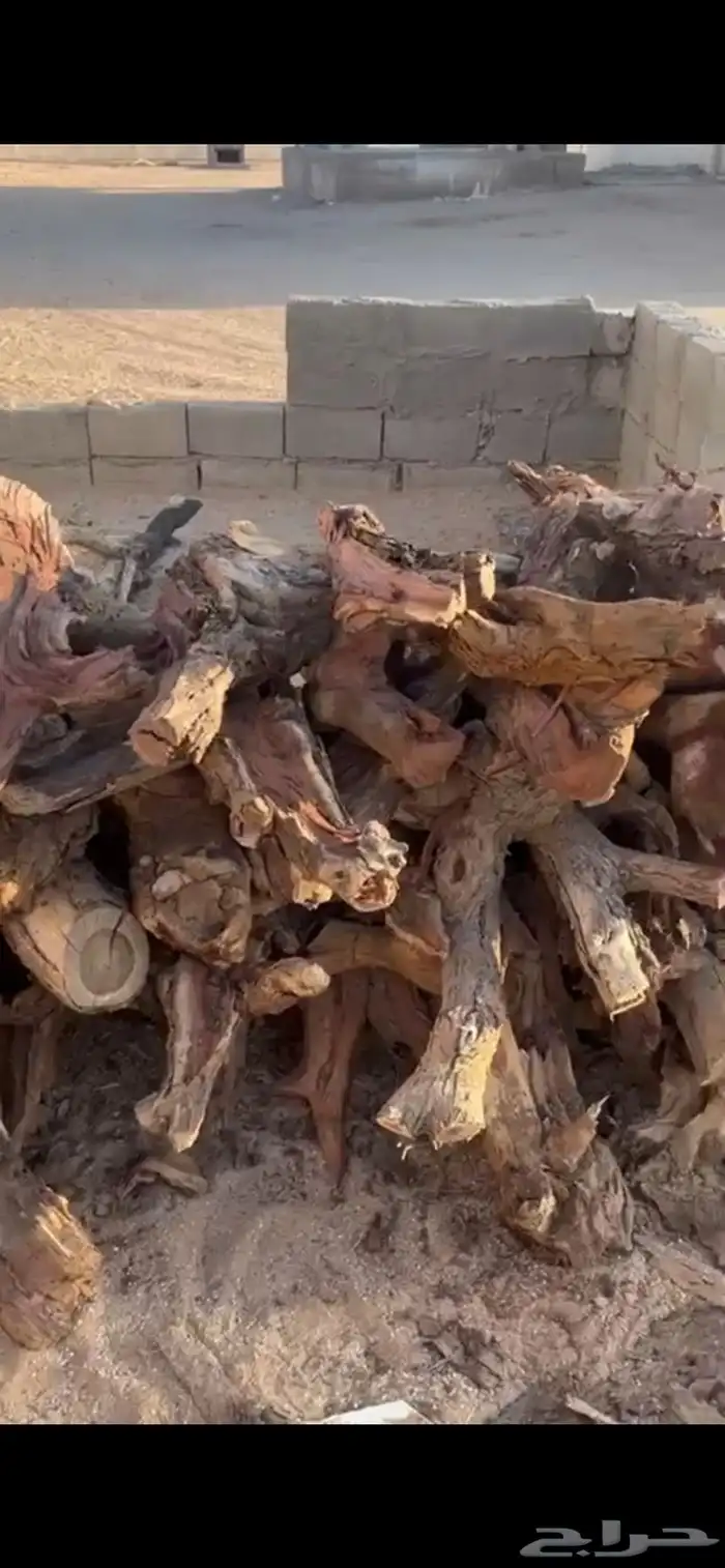 حمله دينا حطب نفس السمر مستورد 2