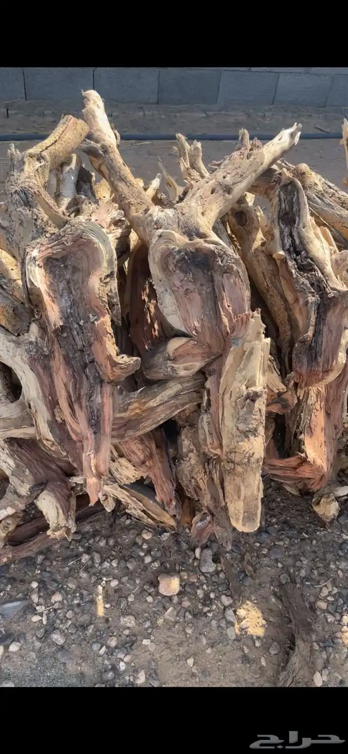 حطب مستورد شبيه السمر 0