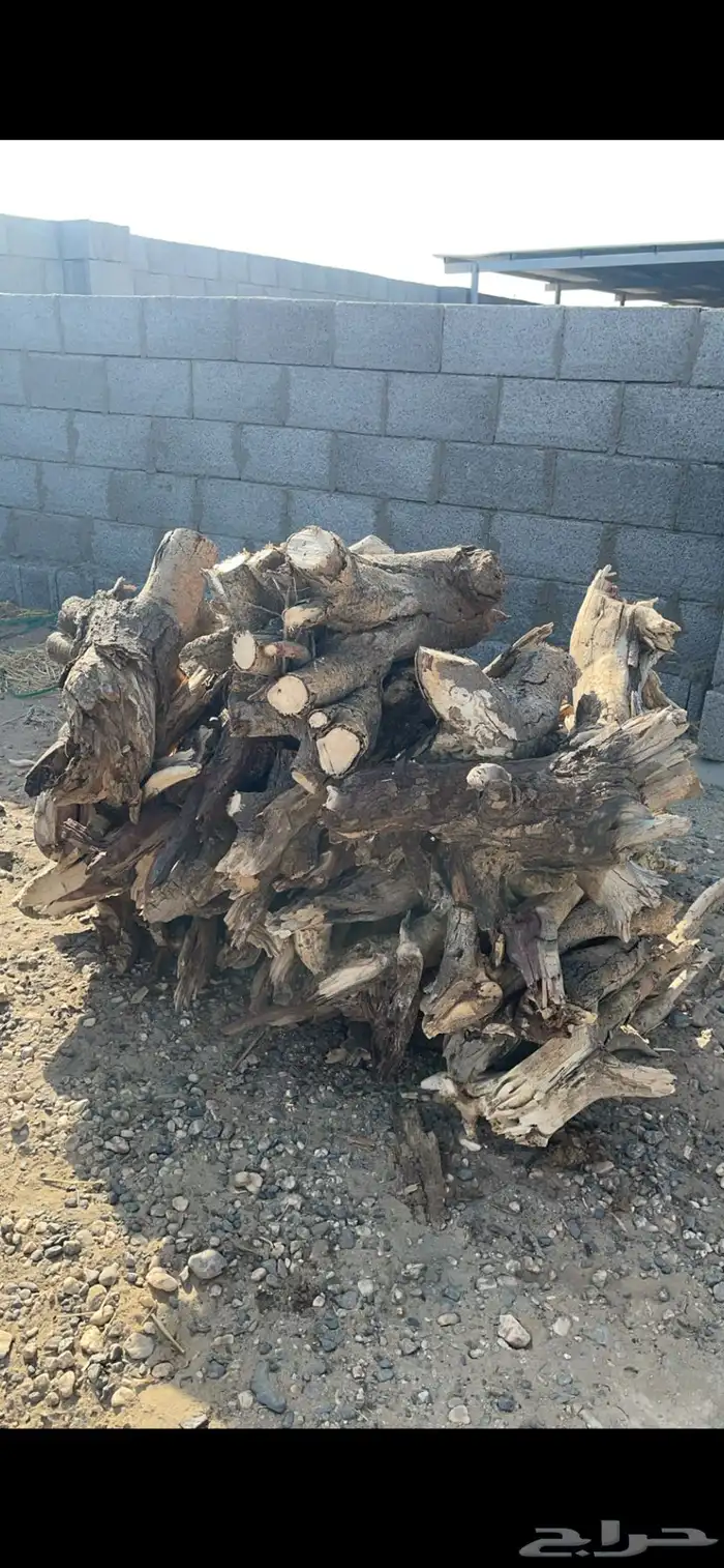 حطب مستورد شبيه السمر 2