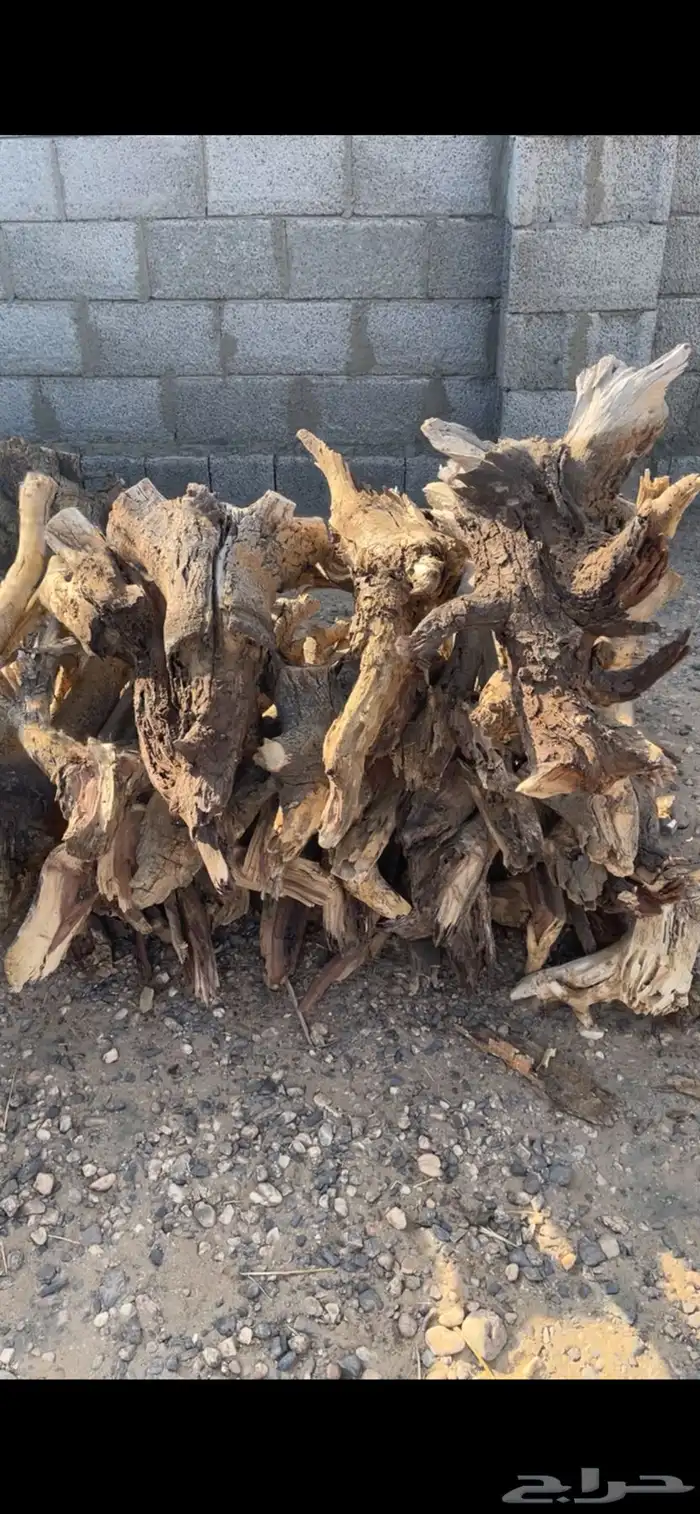 حطب مستورد شبيه السمر 1