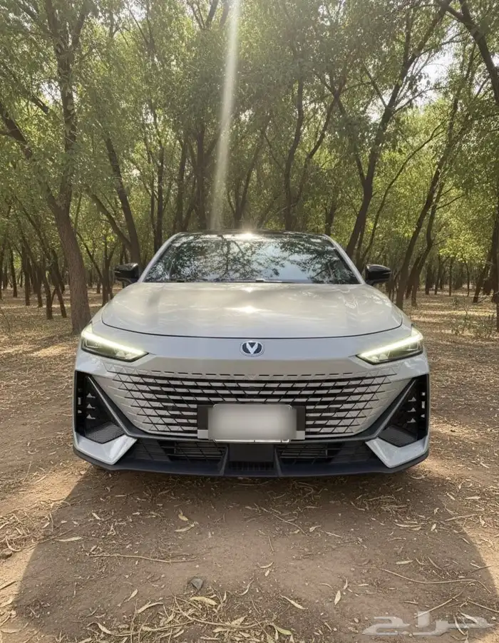 للبيع شانجان يوني في 2024 نظيف 1