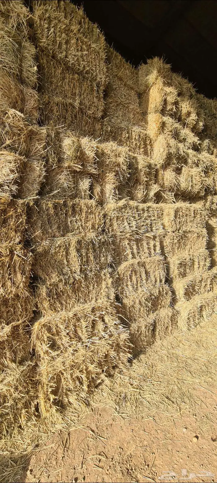 للبيع اعلاف بلوبانك ومليسا 0