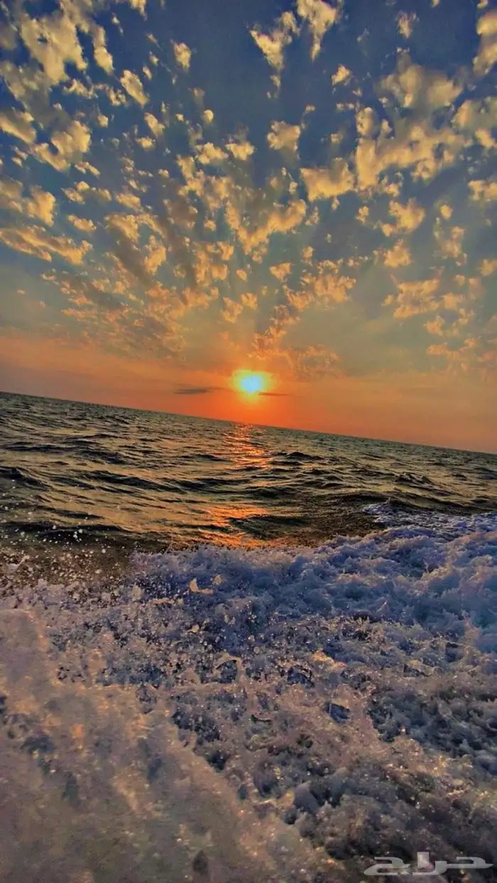 رحلات بحريه نزهه تمشيه بالساعه 0