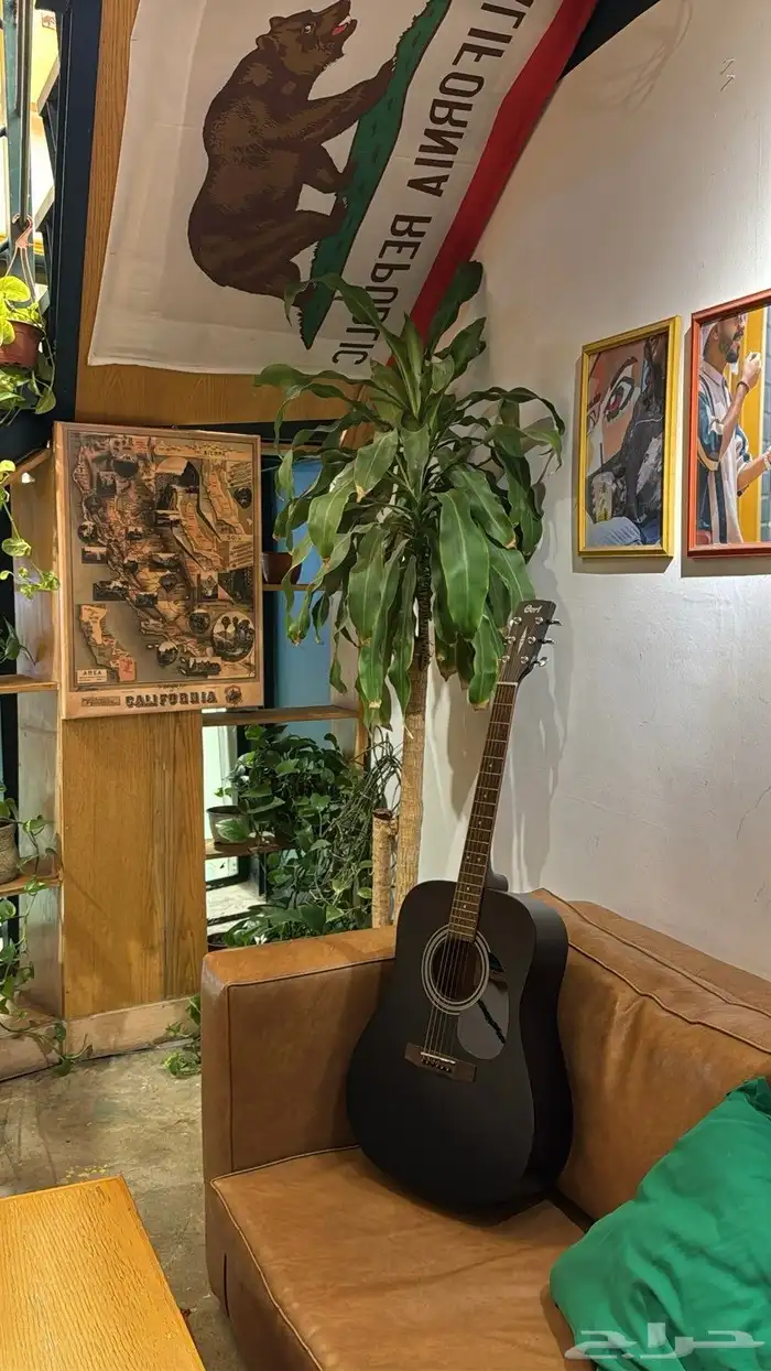 جيتار اكوستيك مع مستلزماته 4