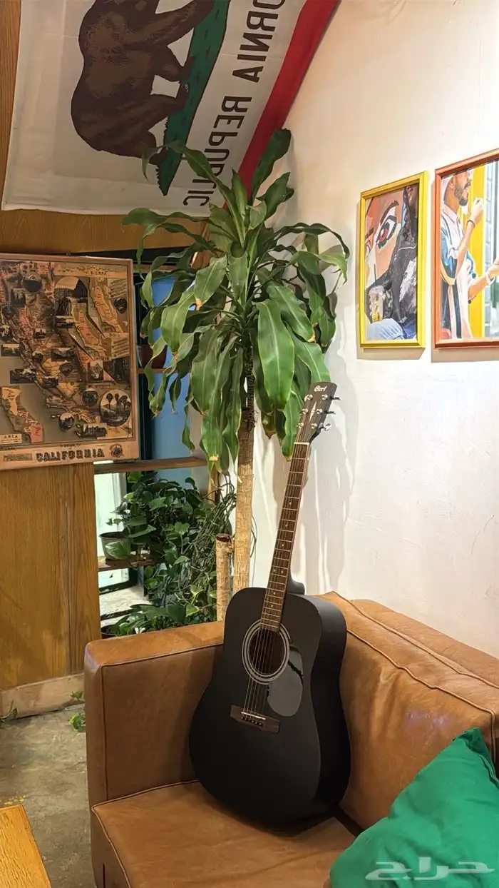 جيتار اكوستيك مع مستلزماته 3