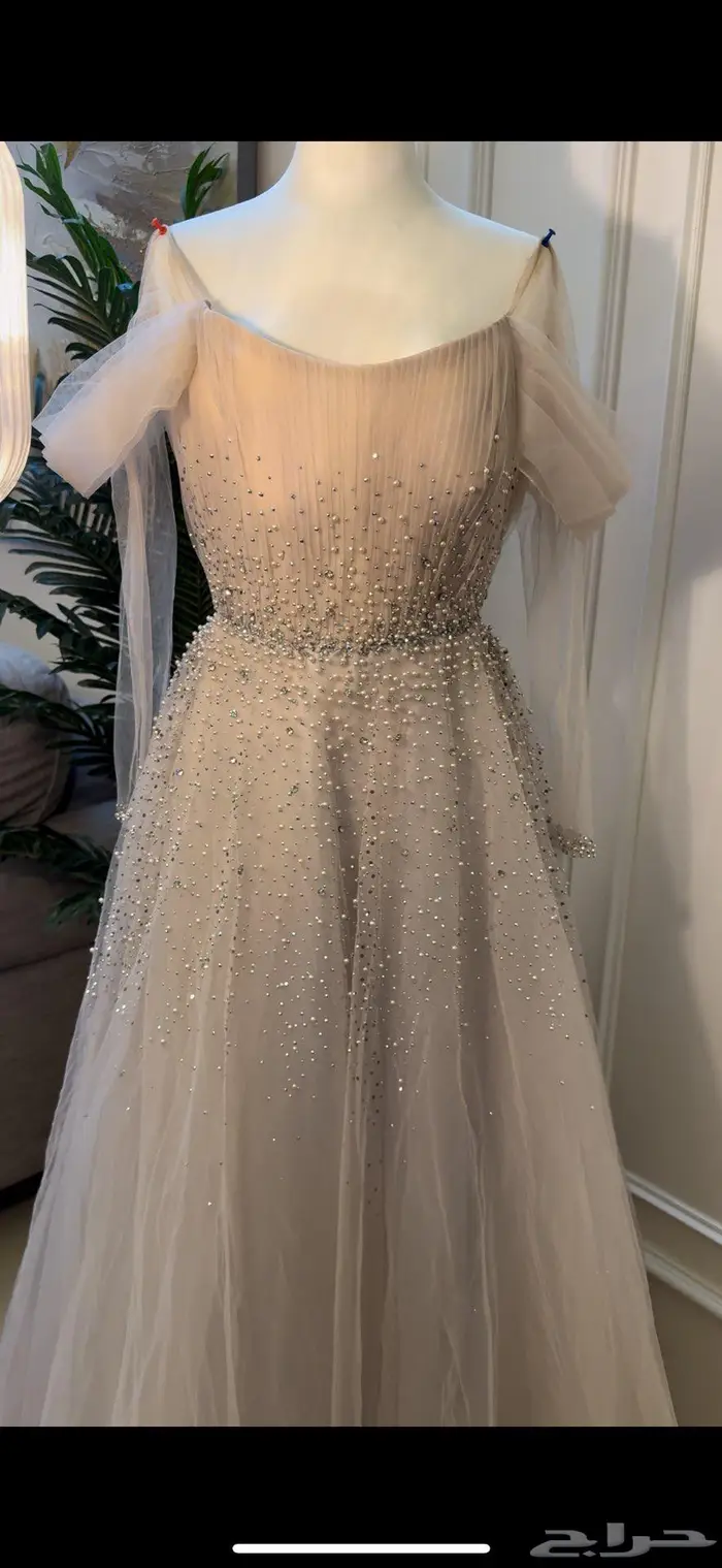 المرجانيه 0