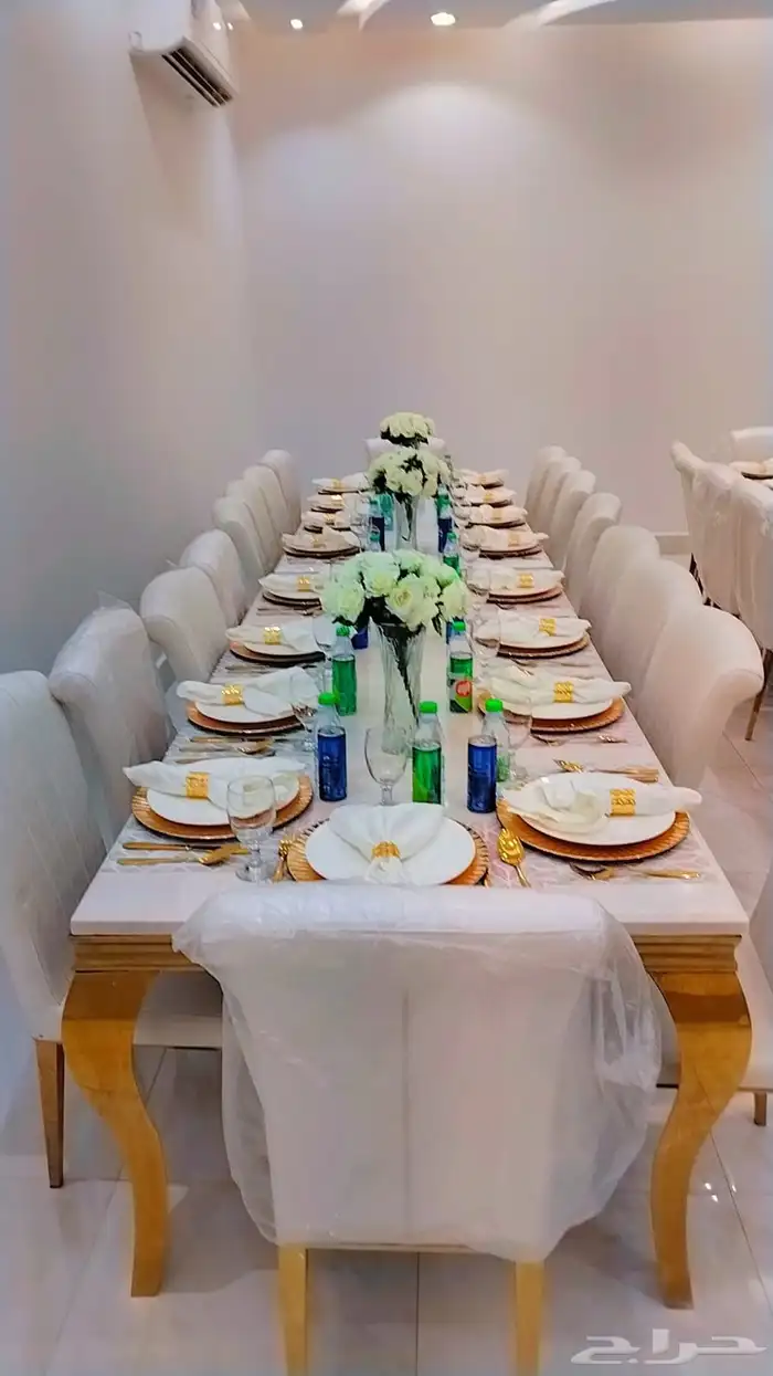 منسق حفلات 7