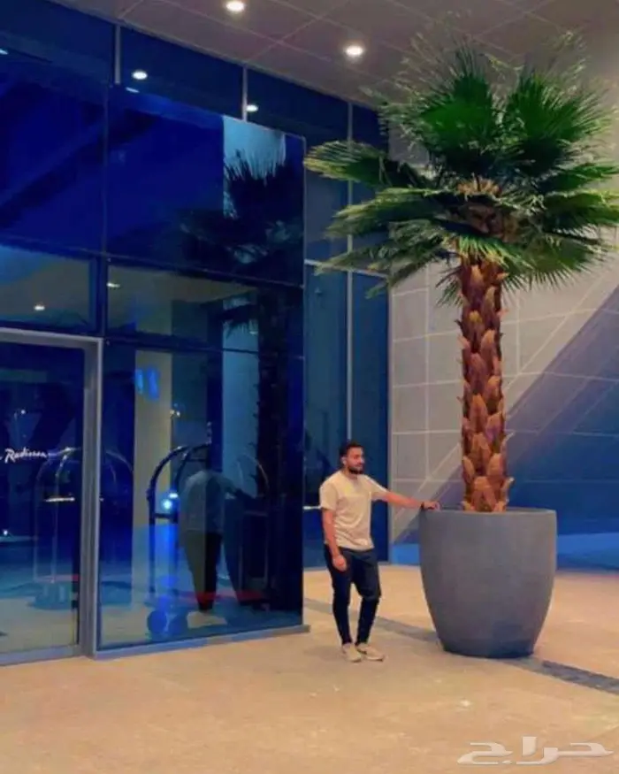 احواض زرع كبيرة الهفوف جاهزة فايبر بسعر المصنع 51