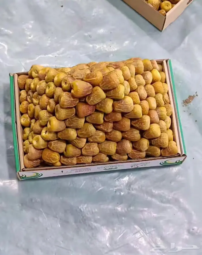 تمر سكري - صقعي - جلكسي - مجدول . 0