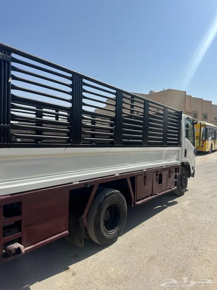 دينه اسيزو 2015 1