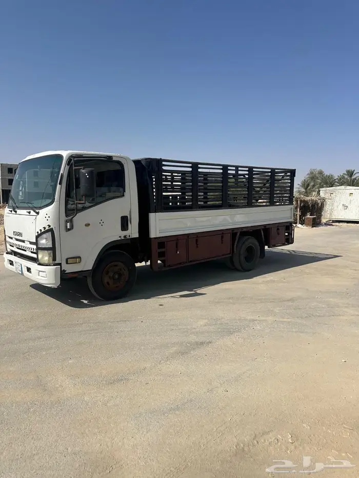 دينه اسيزو 2015 4