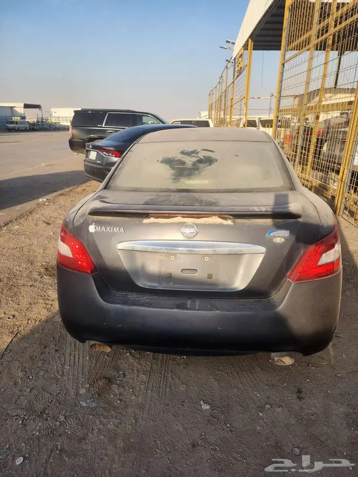 مكسيما موديل 2010 1