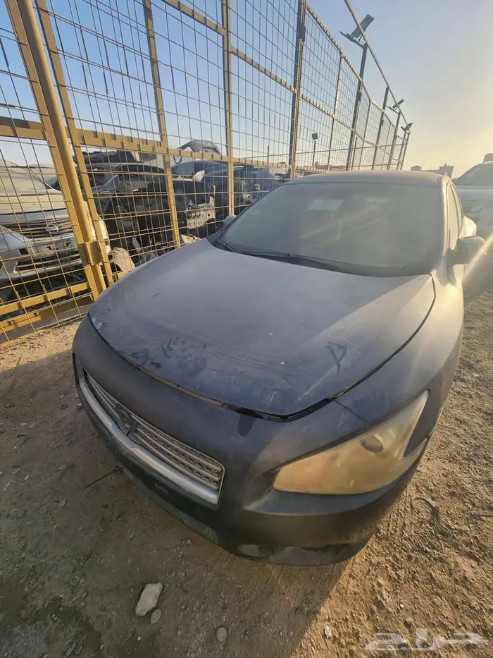 مكسيما موديل 2010 3