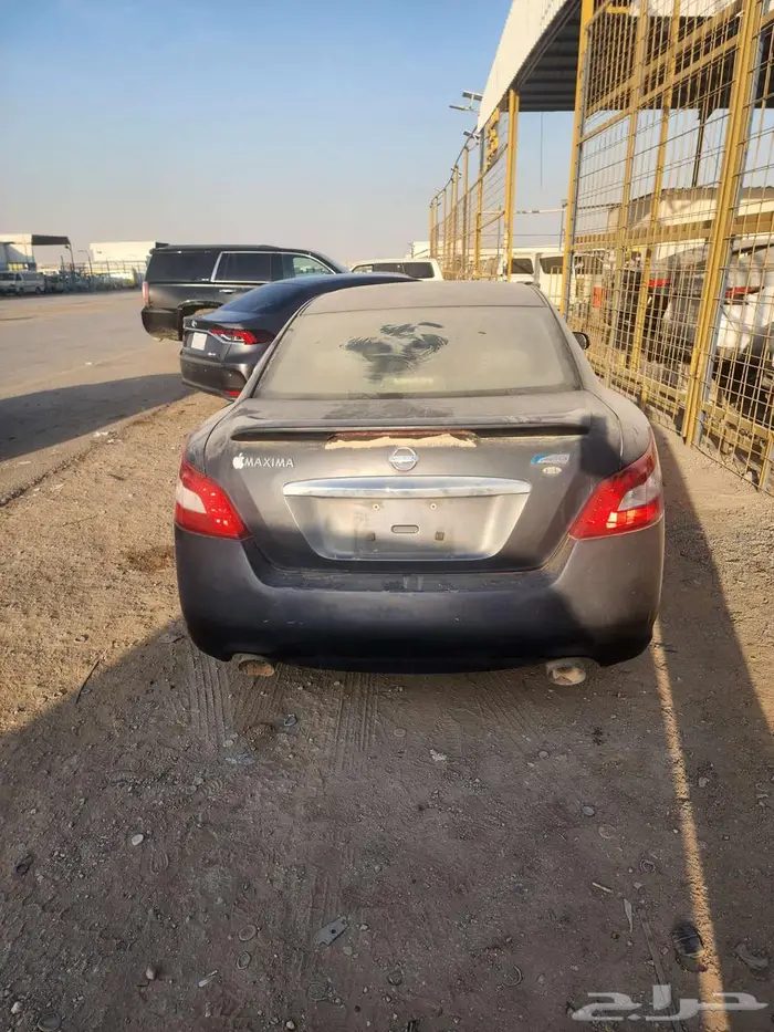 مكسيما موديل 2010 0