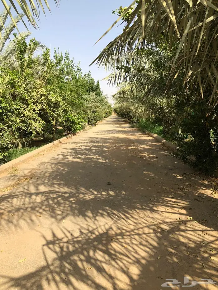 استراحه للبيع 9