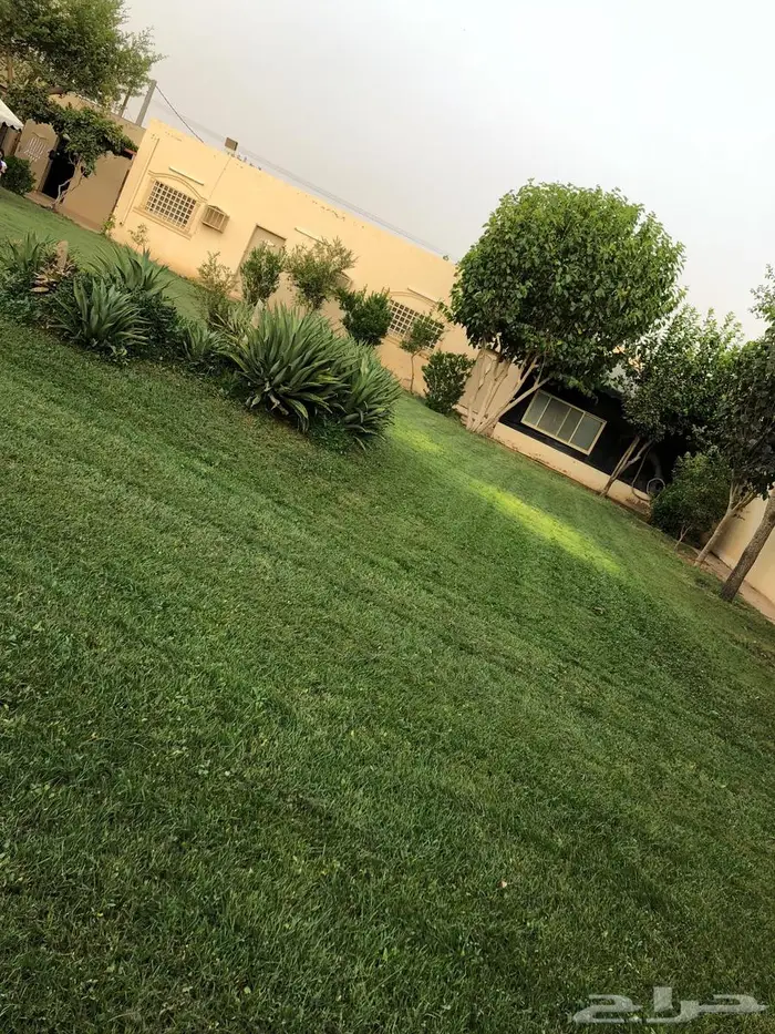 استراحه للبيع 8