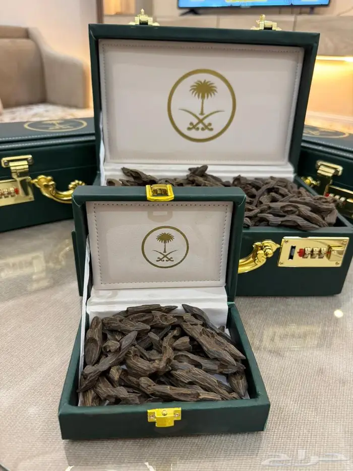 عندك مناسبه العود يجملك تبوك 0