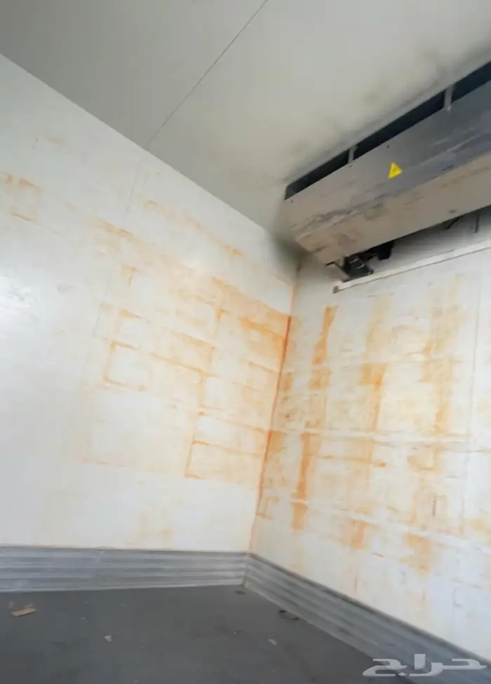 دينا ايسوزو موديل 2020 2