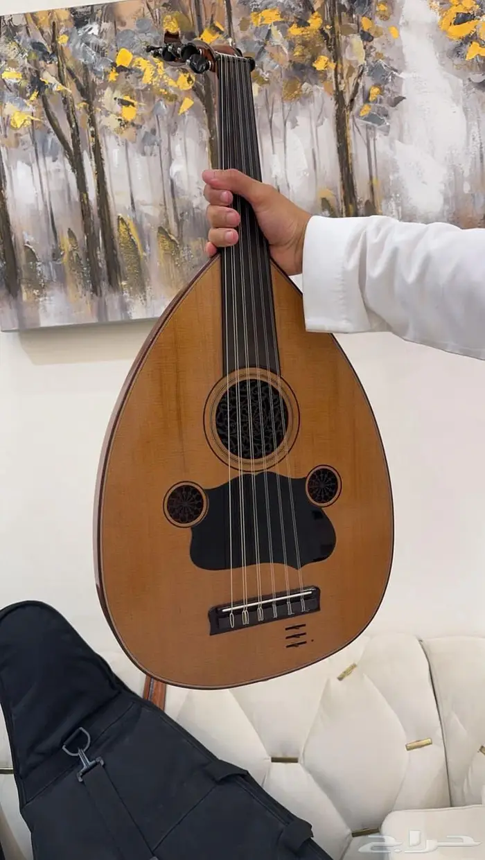 أعواد نيجريان عود أمريكي كهربائي 0