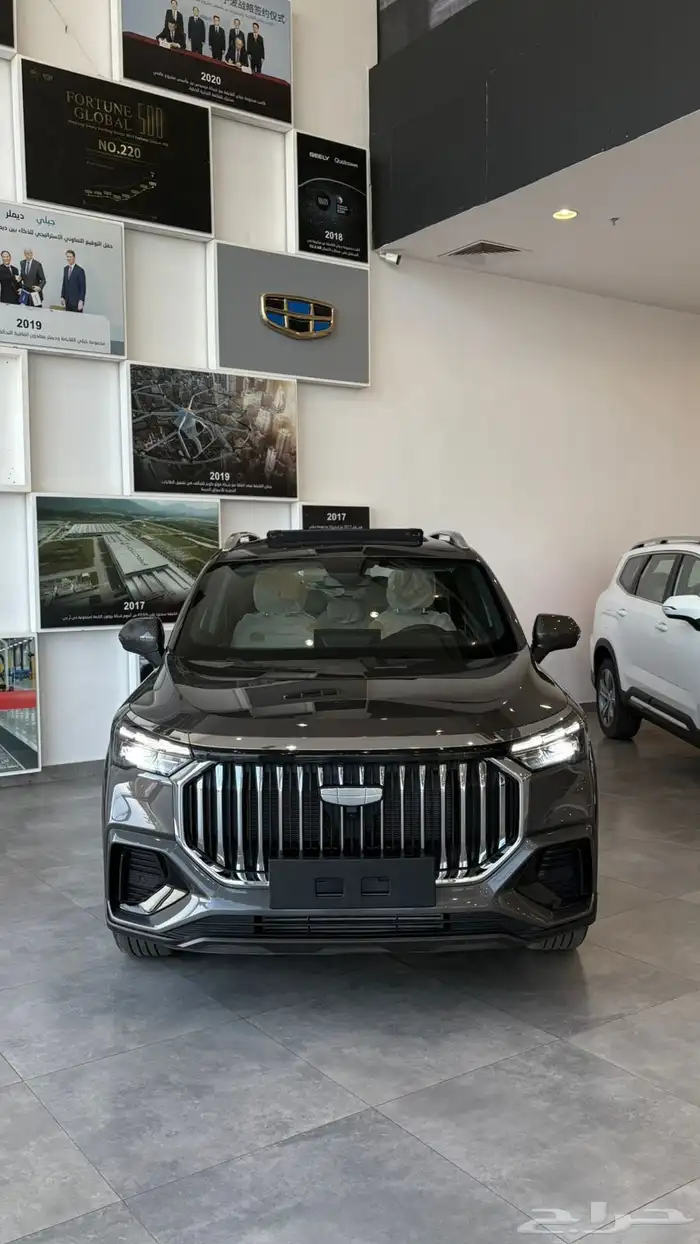 جيلي اوكافانجو 2025 1