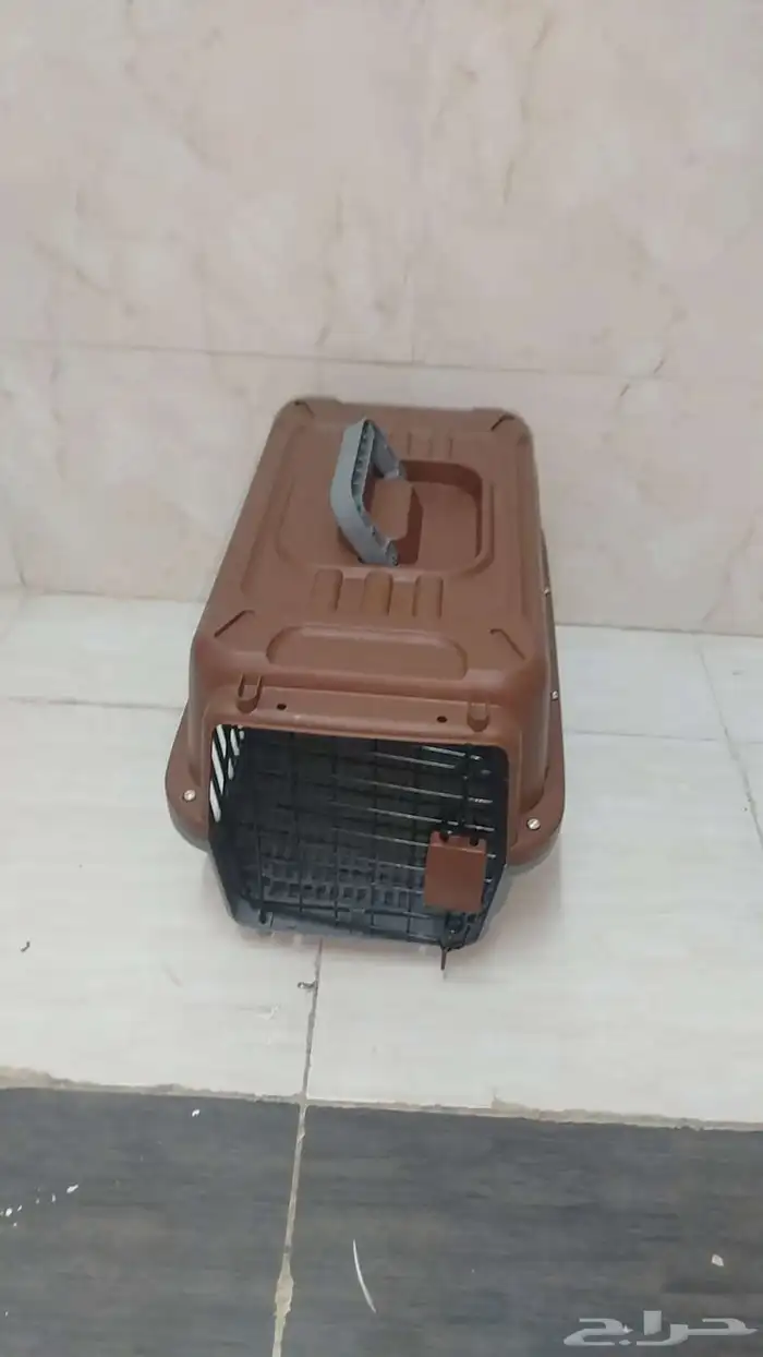 بيت قطه مع الحمام وانتو بكرامه 1