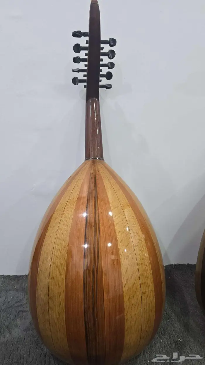 عود مصري صوت حنون 1