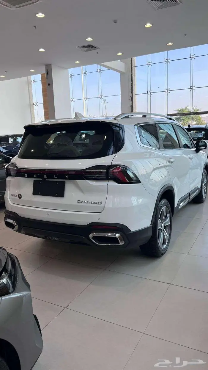 جيلي اوكافانجو بعروض نهاية السنه لكميه محدوده 82700 16