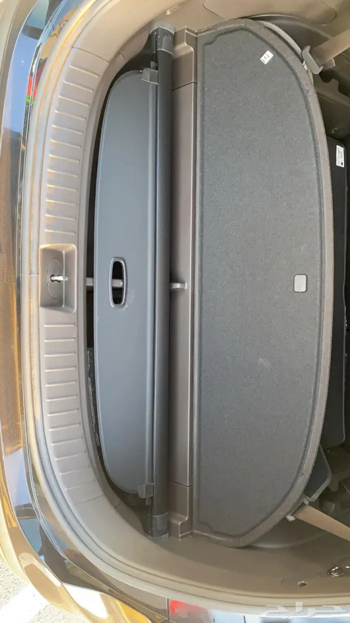 سنتافي 2024 21