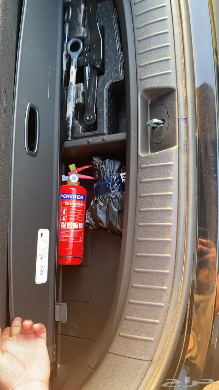 سنتافي 2024 19