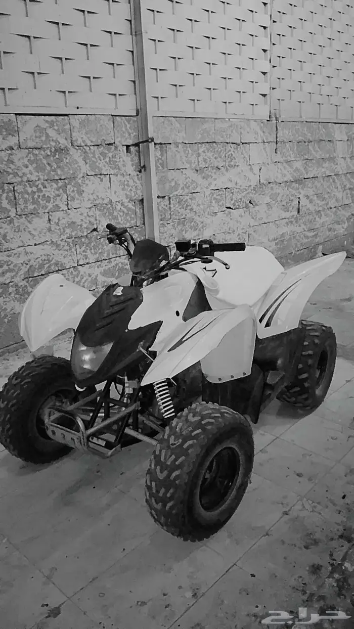 دباب للبيع 0