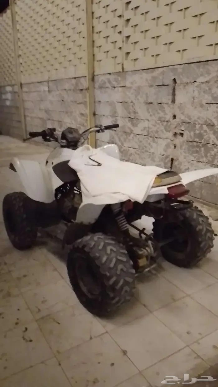 دباب للبيع 1