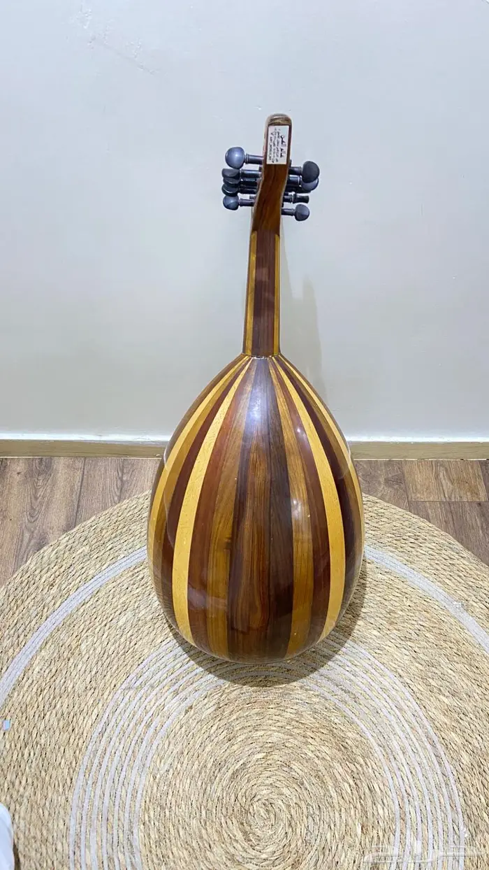 عود بحريني 1