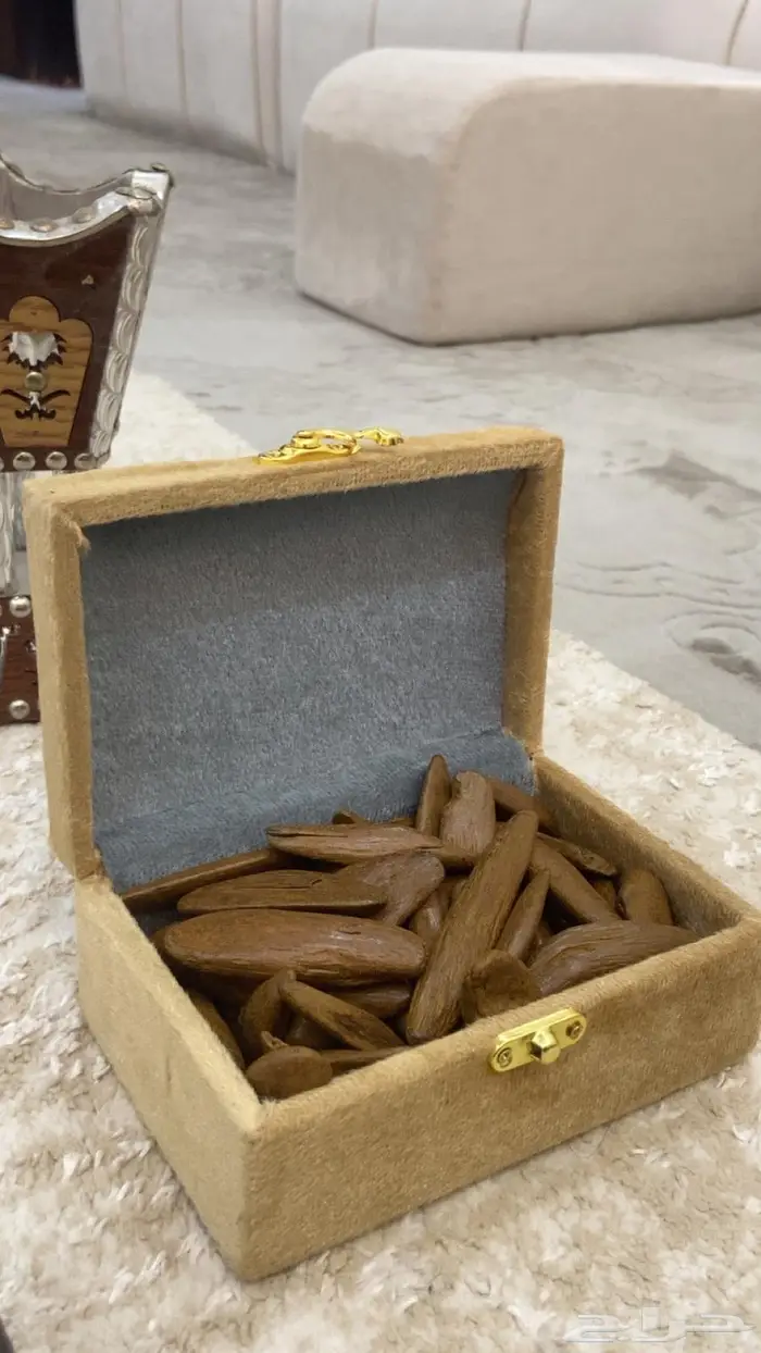 عندك مناسبه العود يجملك تبوك 7