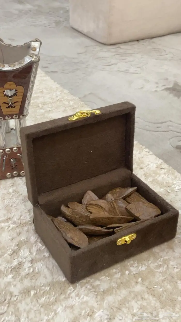 عندك مناسبه العود يجملك تبوك 8