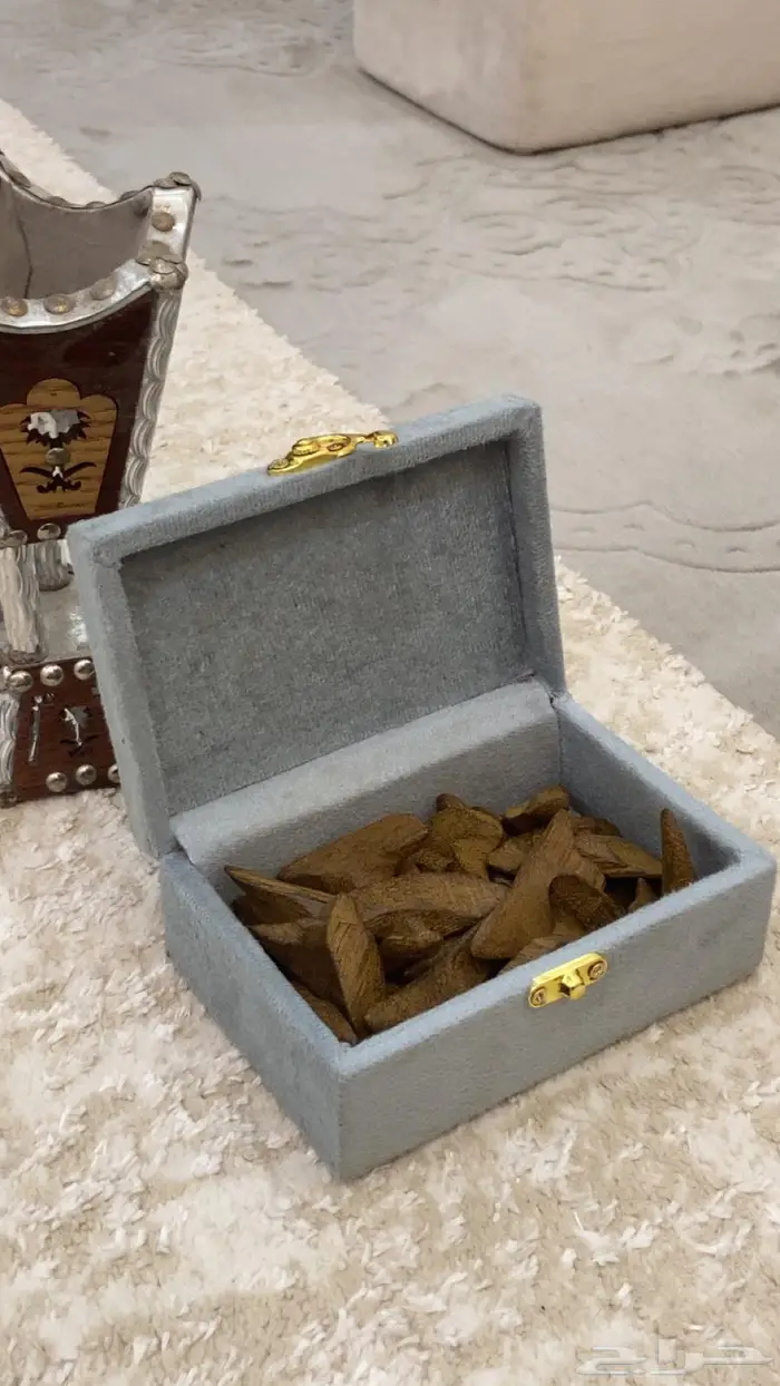 عندك مناسبه العود يجملك تبوك 6