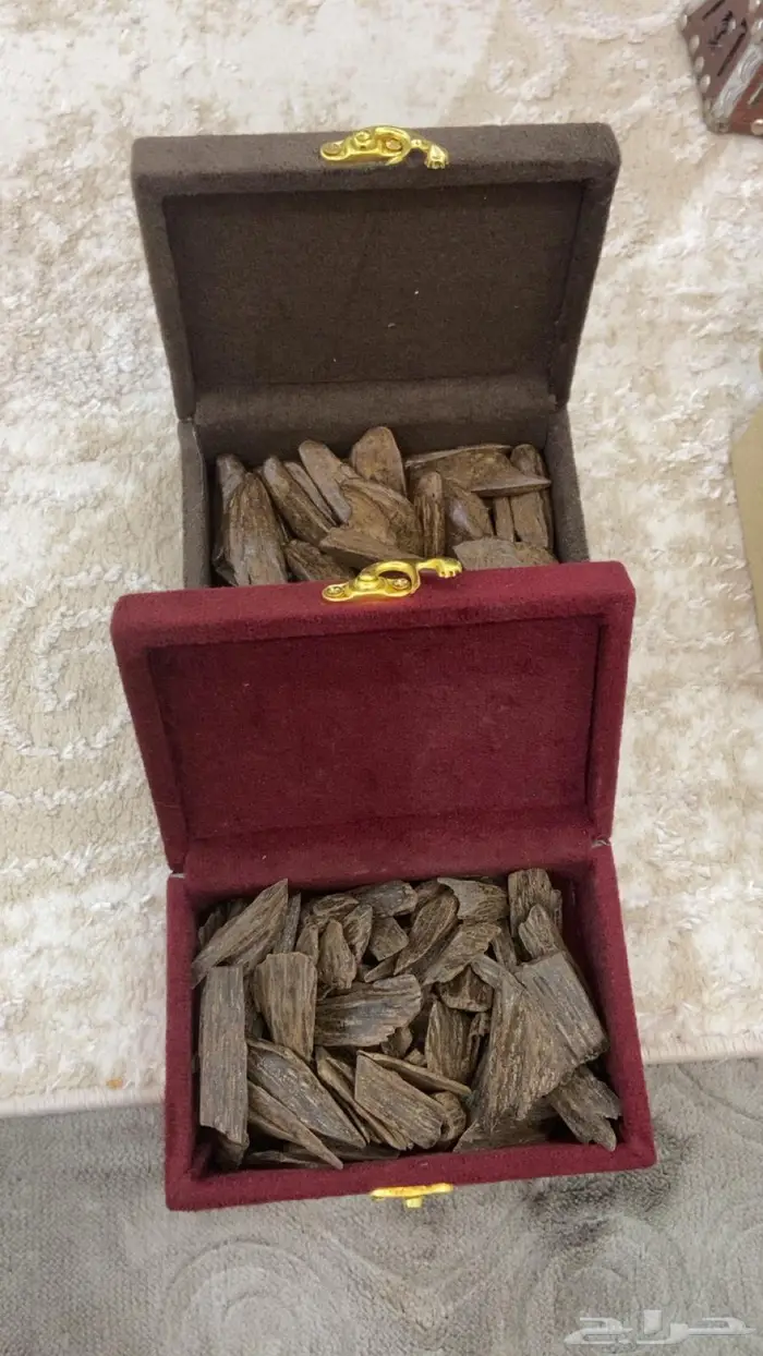 عندك مناسبه العود يجملك تبوك 10