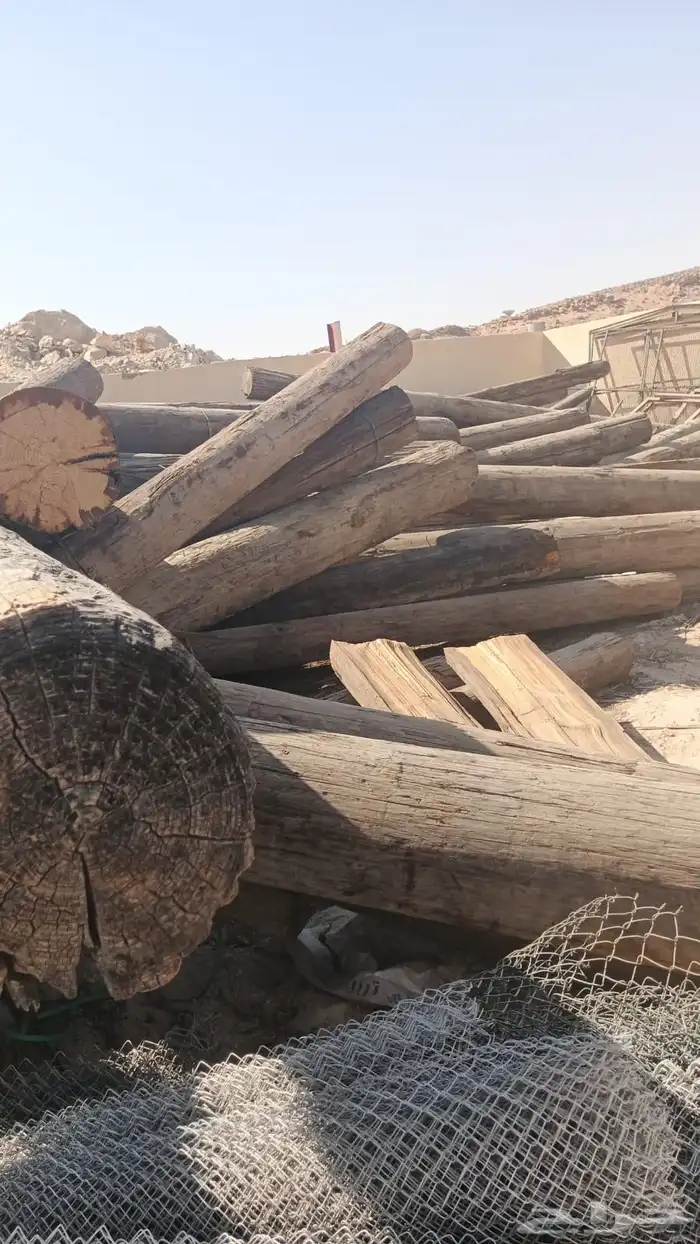 عمدان خشب صنوبر عواميد كهرباء 2