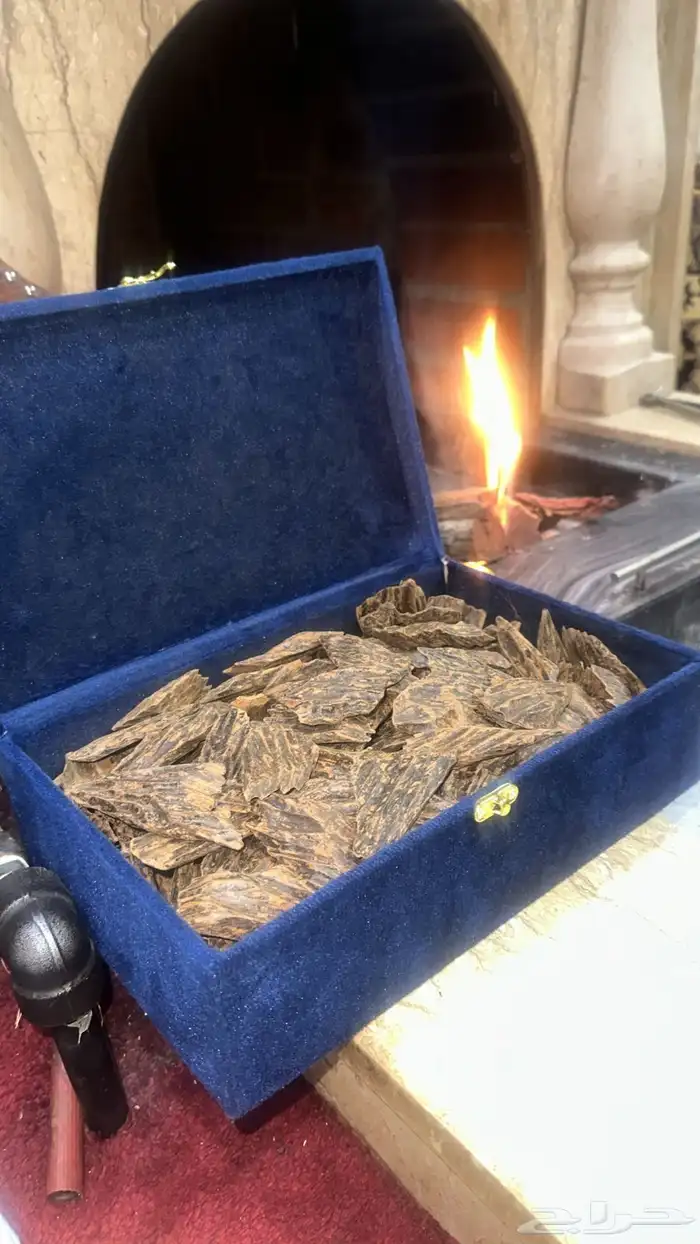 عود ازرق كلمتان تحطيم الاسعار 0