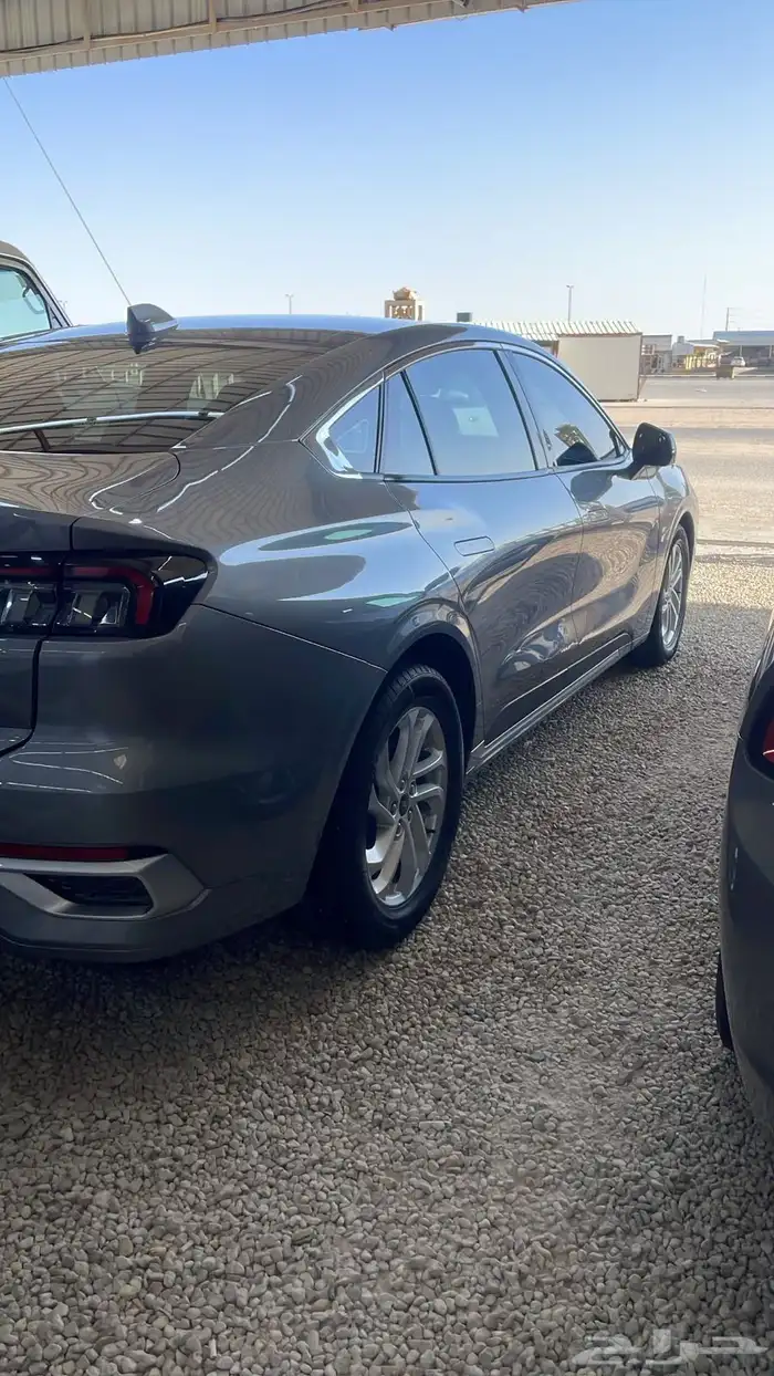 تورس امبيانتي 2023 5