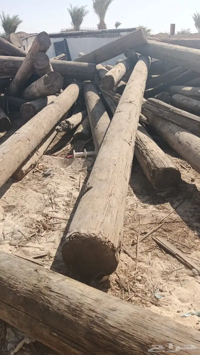 عمدان خشب صنوبر عواميد كهرباء 0